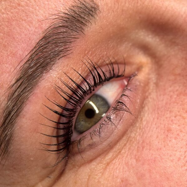 beaute du regard